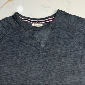 Champion Sweatshirt Mens XL Gray Crewneck Sweater Pullover Athletic